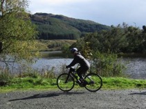 cycbyloch